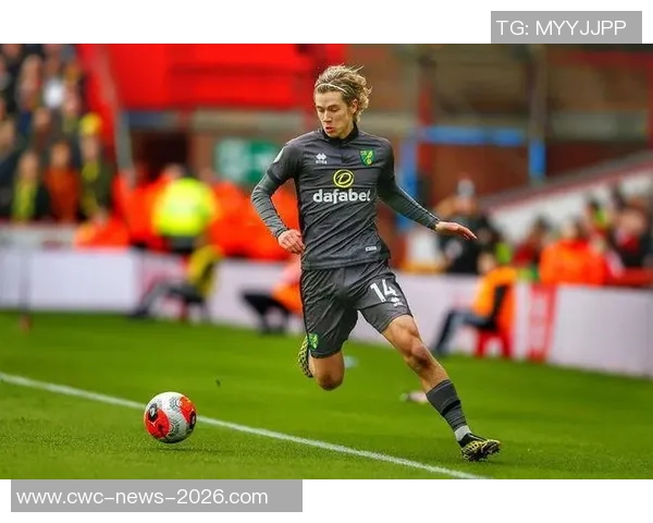 诺维奇足球俱乐部：历史辉煌与未来展望的完美结合