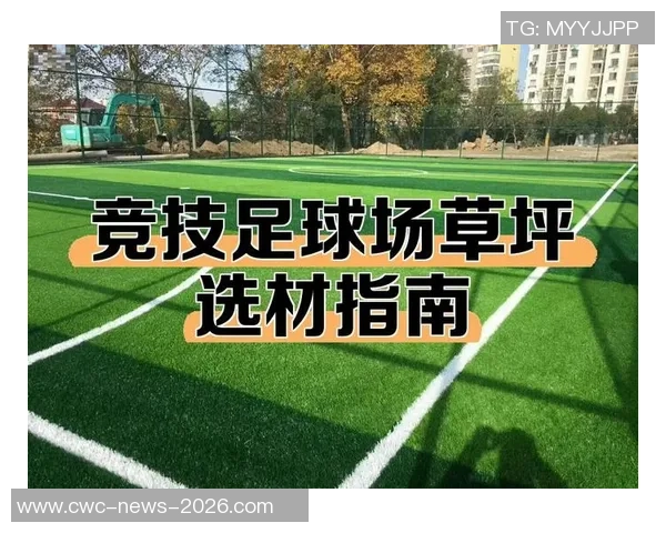 足球场照明灯具选择指南及其对比赛效果的影响分析 足球场照明灯具选择指南及其对比赛效果的影响分析